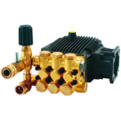 Parazzini Bomba para hidrolavadora 7 Hp
